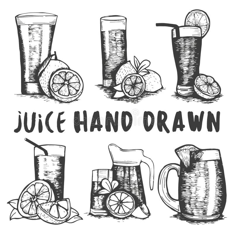 Sistema del vector del bosquejo dibujado mano del vidrio del zumo de fruta Cócteles y bebidas del alcohol
