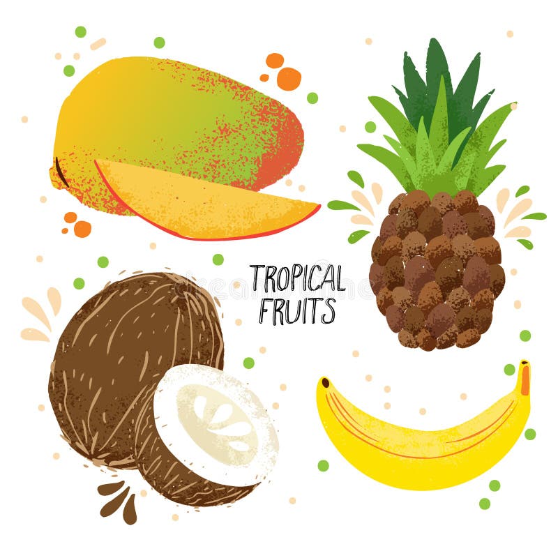 Sistema del vector del drenaje de la mano de las frutas tropicales - mango, plátano, piña y coco aislados en el fondo blanco trop stock de ilustración