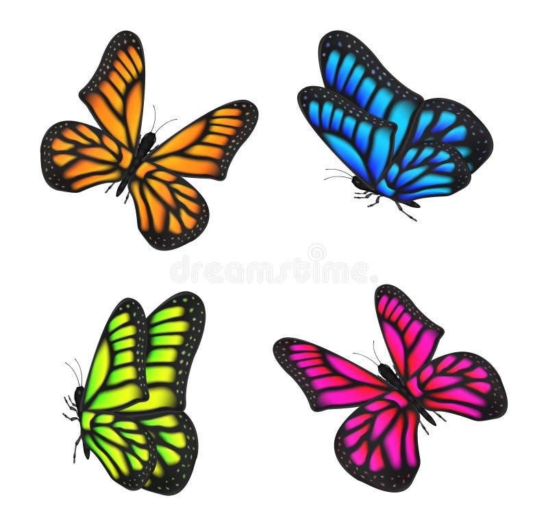 Sistema del vuelo colorido real de la mariposa aislado stock de ilustración Sistema del vuelo colorido real de la mariposa aislado stock de ilustración