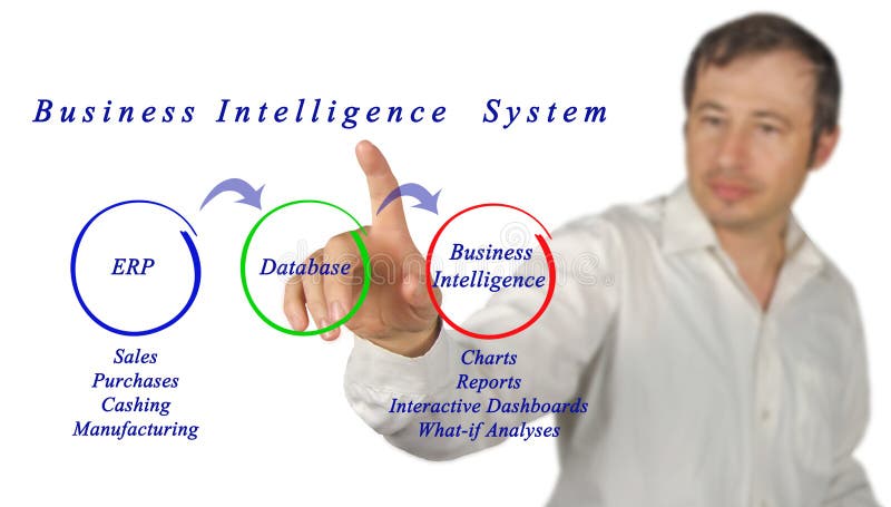 Sistema di business intelligence fotografia stock libera da diritti Sistema di business intelligence fotografia stock libera da diritti
