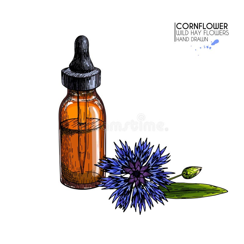 Sistema Coloreado De Estilo Exhausto Disponible De Las Plantas