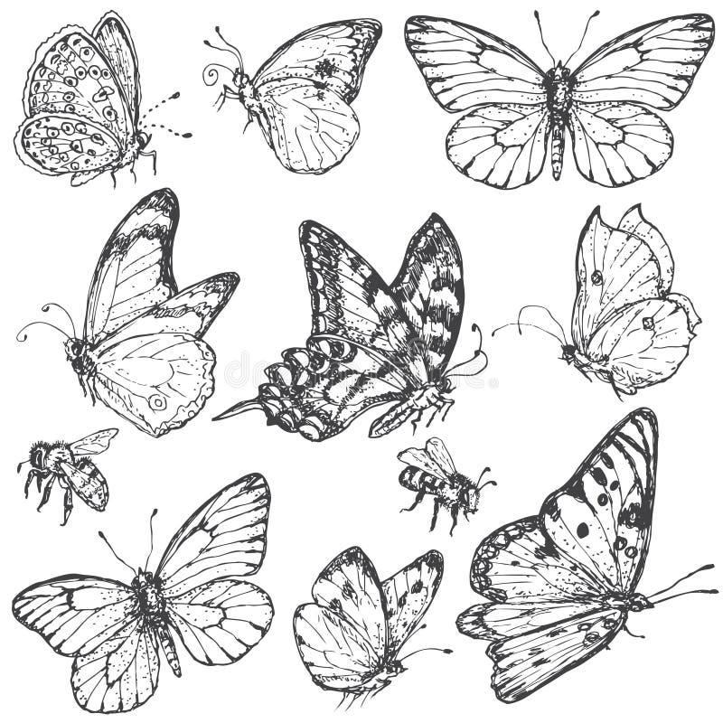 Sistema dibujado mano de mariposas y de abejas libre illustration Sistema dibujado mano de mariposas y de abejas libre illustration