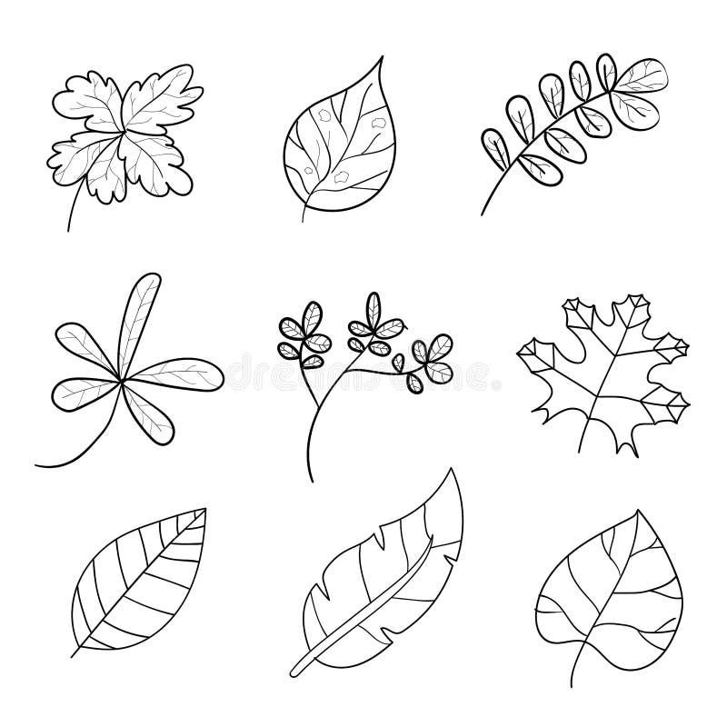 Sistema exhausto de la mano de iconos tropicales de la licencia del vector mano de la licencia dibujada libre illustration Sistema exhausto de la mano de iconos tropicales de la licencia del vector mano de la licencia dibujada libre illustration