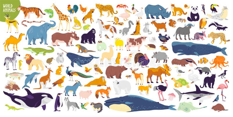 Sistema grande del vector de animales salvajes de diverso mundo, de mamíferos, de pescados, de reptiles y de pájaros Animales rar