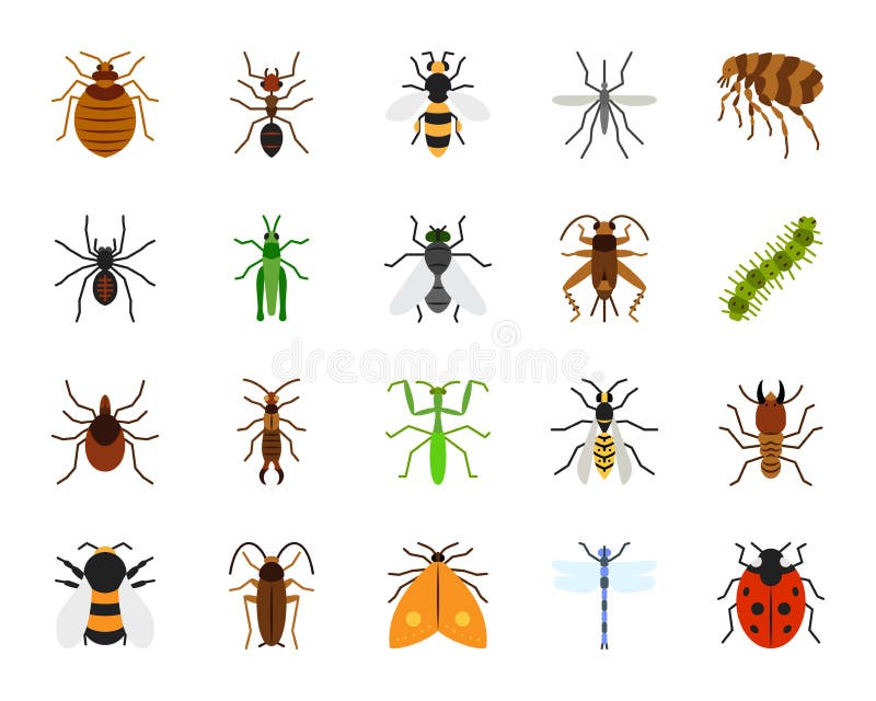 Sistema plano simple del vector de los iconos del color del insecto del peligro