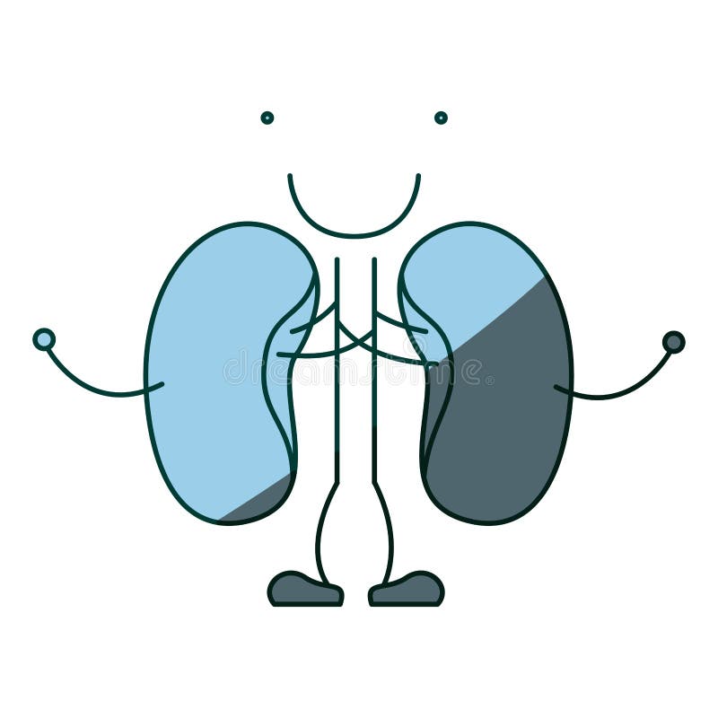 Sistema renal da caricatura azul do contorno do desenho da mão da proteção da cor de corpo humano ilustração do vetor Sistema renal da caricatura azul do contorno do desenho da mão da proteção da cor de corpo humano ilustração do vetor