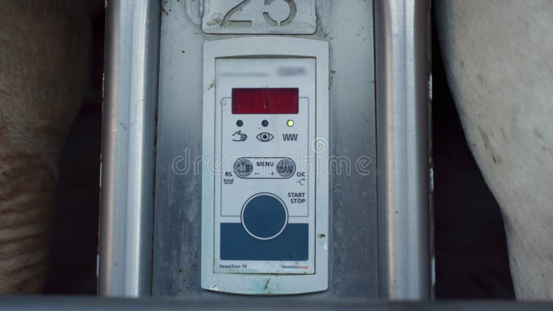 Sistemul tehnologic de mulgere a vacilor cu echipamente care prezintă clasarea datelor de producție. stock footage