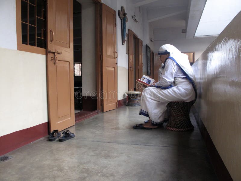 Sisters of Mother Teresa's Missionaries of Charity in prayer stock image Sisters of Mother Teresa's Missionaries of Charity in prayer stock image