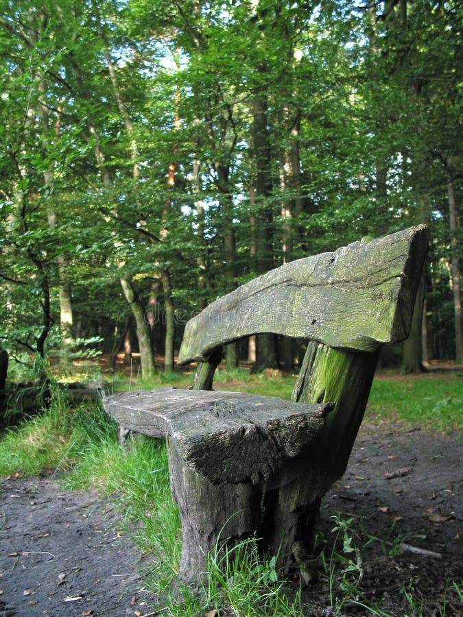 Ancient wooden seat in the middle of a forrest. Ancient wooden seat in the middle of a forrest