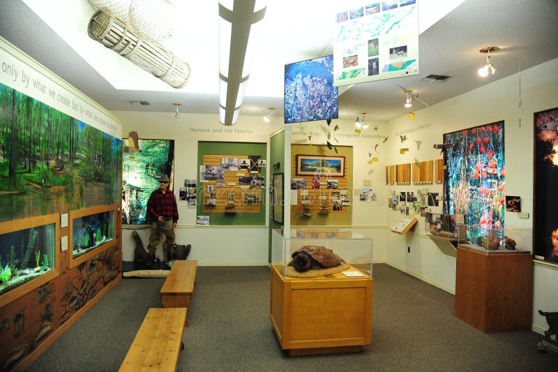 Sitio del deportista en Tennessee Delta Heritage Center y el museo del oeste foto de archivo Sitio del deportista en Tennessee Delta Heritage Center y el museo del oeste foto de archivo