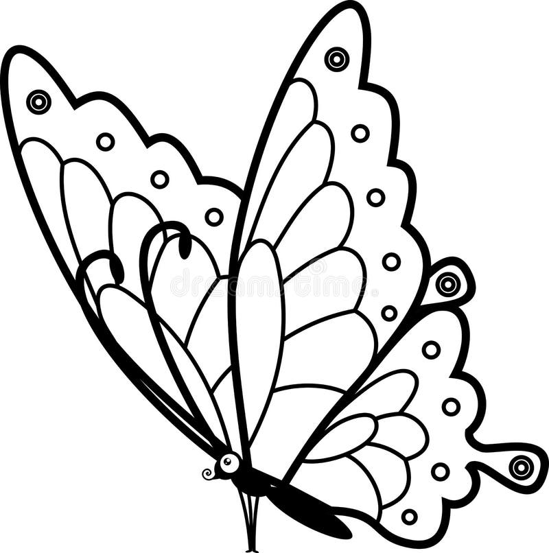 butterfly coloring stock illustrations – 6346 butterfly