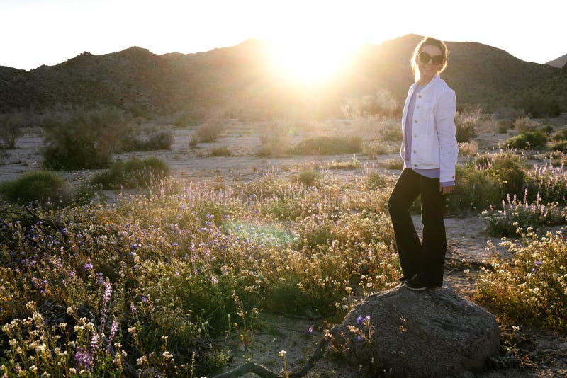 Situación de la mujer en una roca en un campo del wildflower en la oscuridad en Joshua Tree National Park California Sunflare en imágenes de archivo libres de regalías Situación de la mujer en una roca en un campo del wildflower en la oscuridad en Joshua Tree National Park California Sunflare en imágenes de archivo libres de regalías