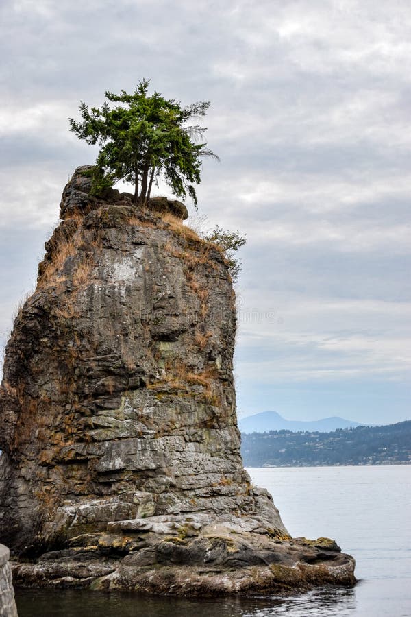 Siwashen vaggar på Stanley Park i i stadens centrum Vancouver fotografering för bildbyråer Siwashen vaggar på Stanley Park i i stadens centrum Vancouver fotografering för bildbyråer