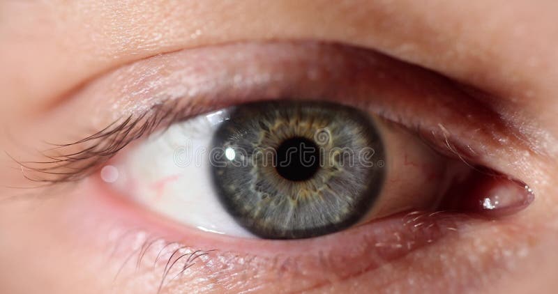 Siwe zielone oko osoby patrzącej na kamerę i mrugającej na mrugnięcie