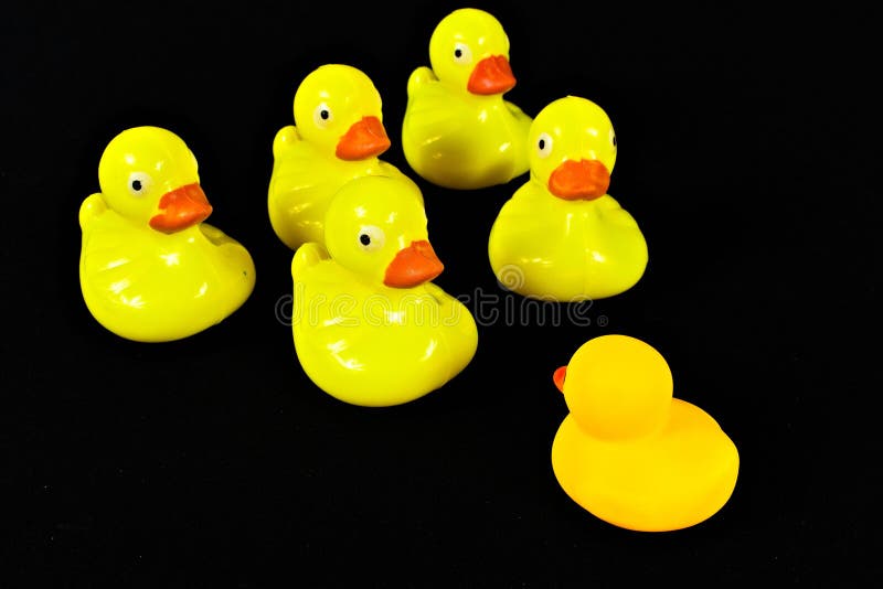 Five yellow rubber ducks staring at a single rubber duck photographed on a black background. Bathtub stand stock images, royalty-free photos and pictures