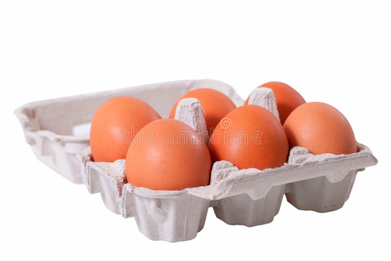 Six eggs. stock image. Image of protein, white, shell 26220565