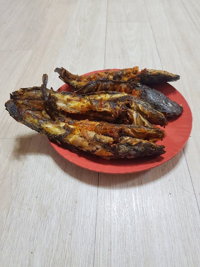 This is Six Fried Catfish Placed in a Red Plate, this Catfish is Noncholesterol Food Stock
