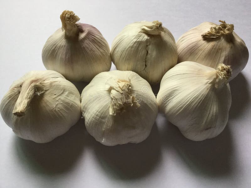 Six garlic. Whole bulbs. stock image. Image of macro 121573387