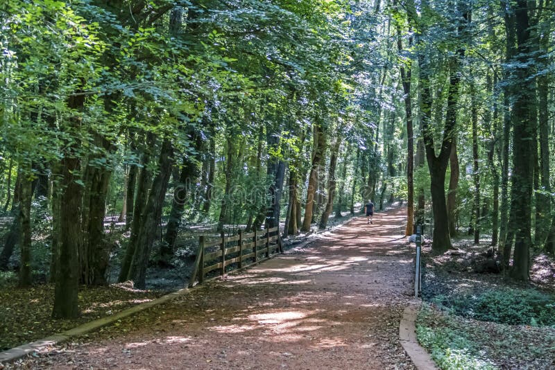 Six kilometre running and hiking path in belgrad forest and green nature in istanbul at sum
