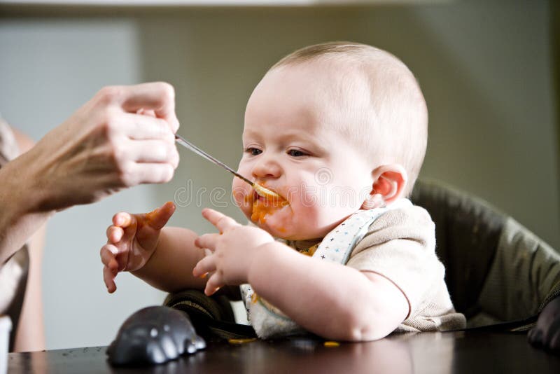 Six Month Old Baby Eating Solid Food Stock Photo - Image ...
