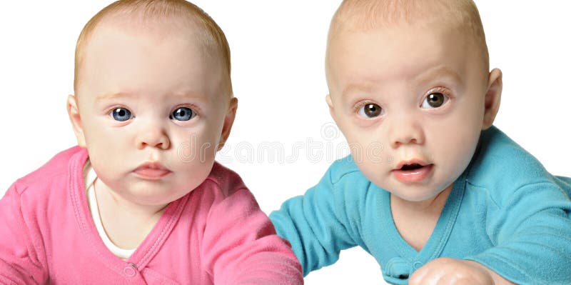 Six month old twin brother and sister royalty free stock photo