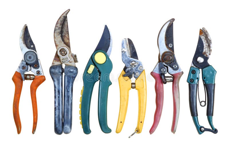 Six old Secateurs