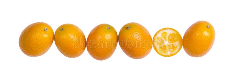 Six Oval Kumquats In A Row On White Background