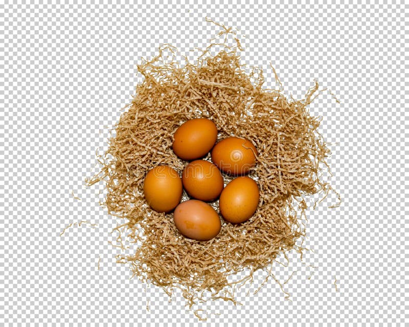 Fried Egg Top View, Animal, Background, Bird PNG Transparent Image and  Clipart for Free Download