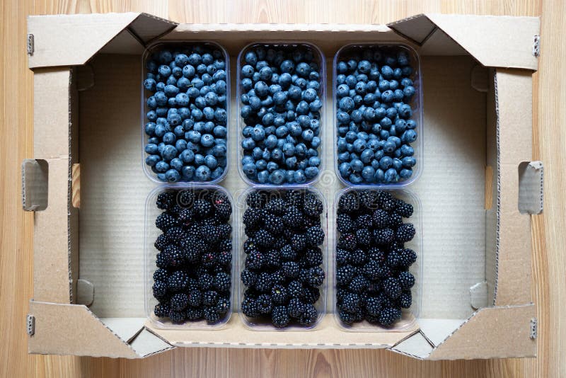 Download 364 Fresh Blueberries Plastic Container Photos Free Royalty Free Stock Photos From Dreamstime Yellowimages Mockups