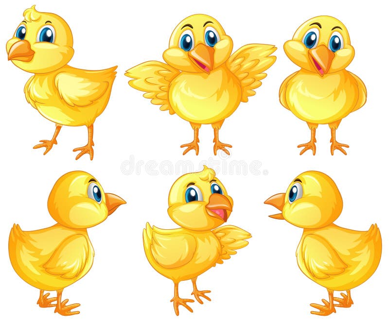 Six poussins mignons sur le fond blanc illustration de vecteur Six poussins mignons sur le fond blanc illustration de vecteur