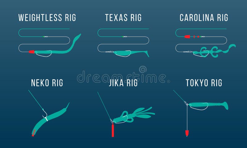 Six Types of Finesse Rigs for Bass Stock Vector - Illustration of fishing,  outdoors: 141042677