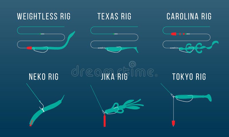 Carolina Rig  Rigs, Fishing rigs, Fishing tips