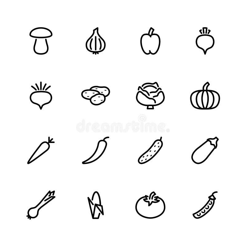 Sixteen Vegetable Icons Isolated on White Stock Vector - Illustration ...
