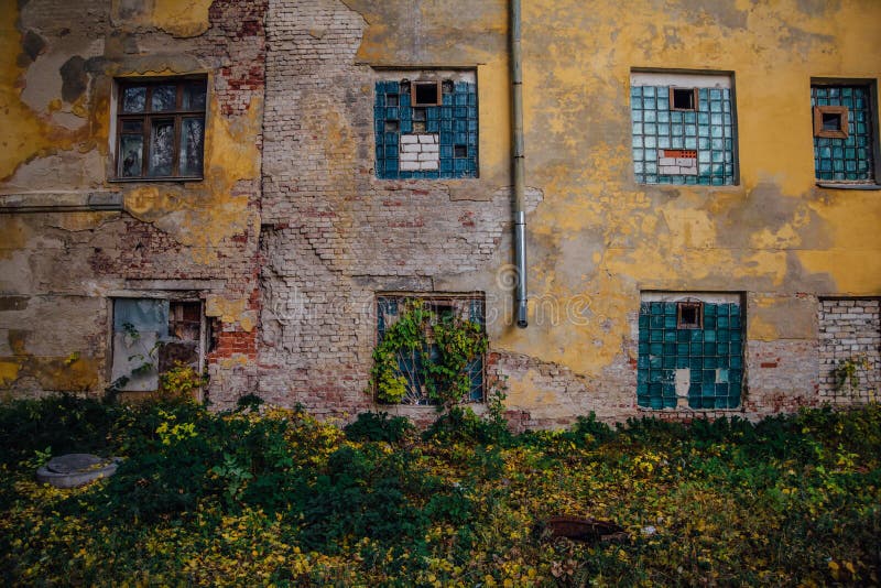 Sjaskig bevuxen grungy vägg, brutna fönster, övergett hus royaltyfria bilder