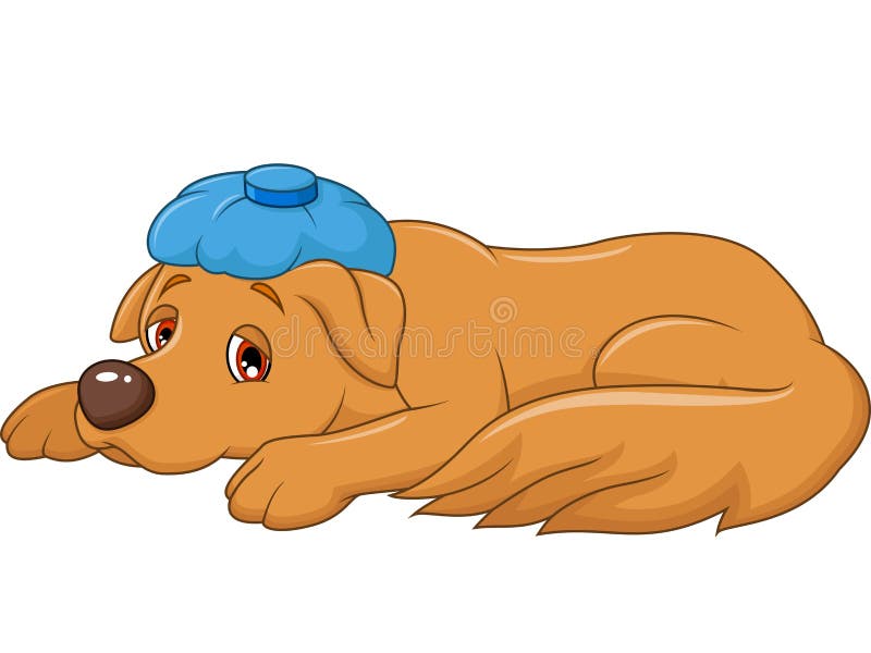 Sjuk hund för tecknad film med ispåsen, på vit bakgrund royaltyfri illustrationer Sjuk hund för tecknad film med ispåsen, på vit bakgrund royaltyfri illustrationer
