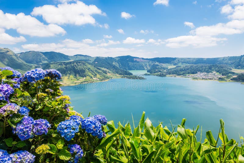 Sjö av Sete Cidades med hortensias, Azores