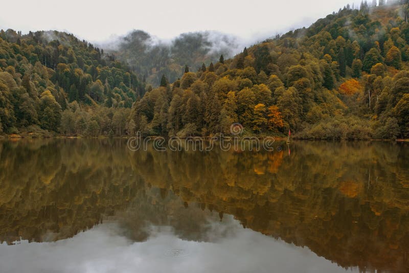 sjö och dimmig skog i berg i en regnig dag royaltyfri fotografi sjö och dimmig skog i berg i en regnig dag royaltyfri fotografi