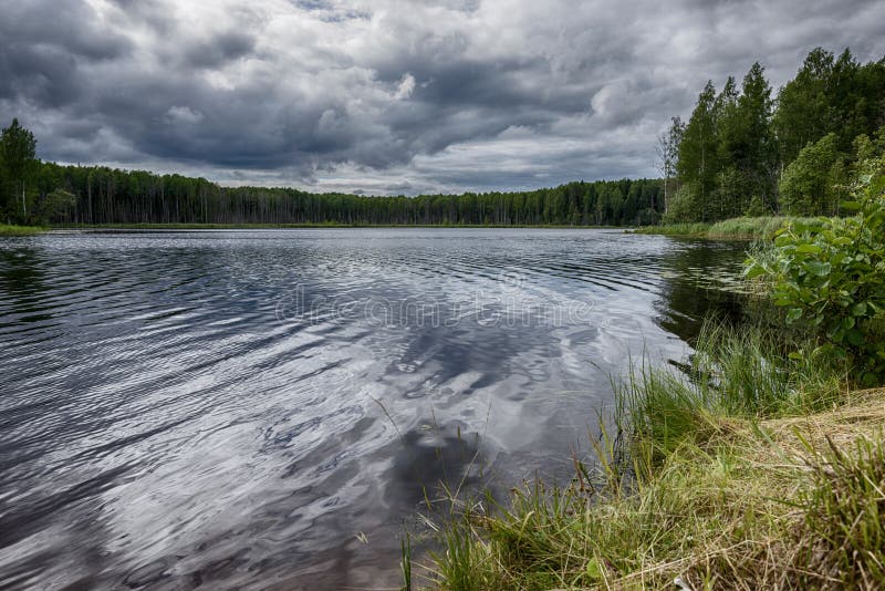 Sjön omges av en tjock skog längs omkretsen royaltyfri foto Sjön omges av en tjock skog längs omkretsen royaltyfri foto