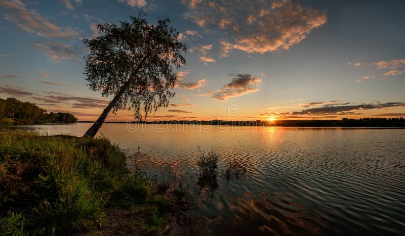 Sjösolnedgångsolen fördunklar trädhimmel royaltyfri bild Sjösolnedgångsolen fördunklar trädhimmel royaltyfri bild
