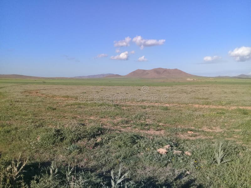 Sk?nhet i natur arkivfoto Sk?nhet i natur arkivfoto
