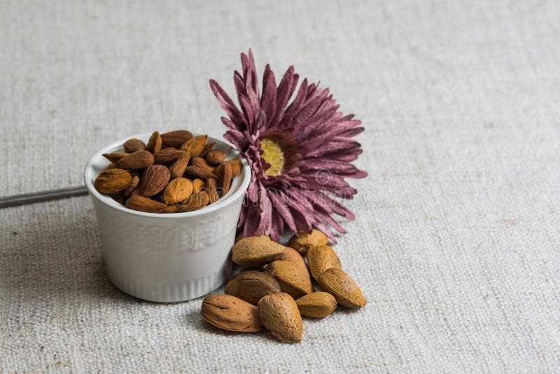 Skalade mandlar i en vit bunke och mandlar torkade - frukt p? beige tygtextur, blommagarnering, kopieringsutrymme fotografering för bildbyråer Skalade mandlar i en vit bunke och mandlar torkade - frukt p? beige tygtextur, blommagarnering, kopieringsutrymme fotografering för bildbyråer