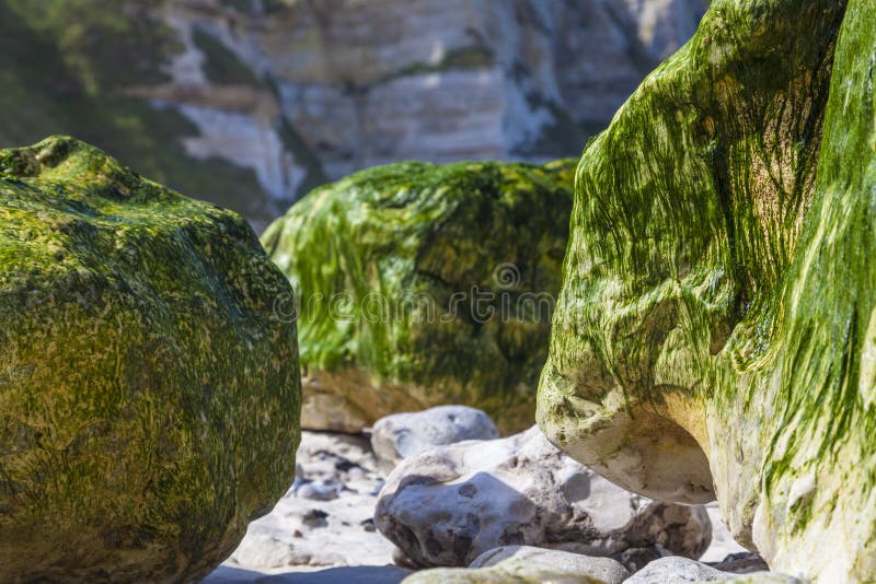 Skalista plaża - Abstrakcjonistyczny szczegół zdjęcia stock Skalista plaża - Abstrakcjonistyczny szczegół zdjęcia stock