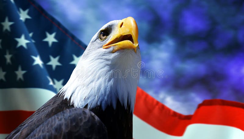 skallig örnflagga för american arkivbild skallig örnflagga för american arkivbild