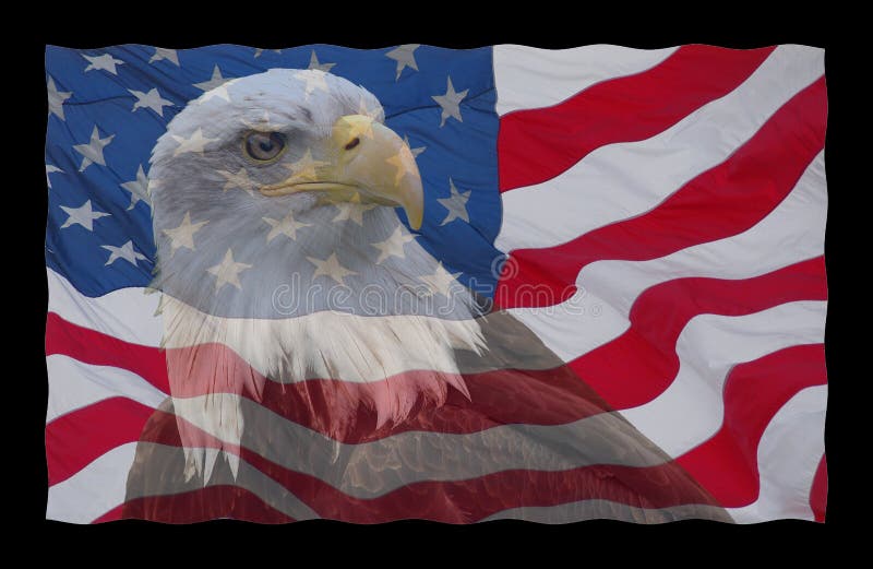 skallig örnflagga för american royaltyfria foton skallig örnflagga för american royaltyfria foton