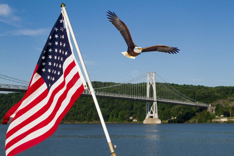 Skalliga Eagle i flykten med amerikanska flaggan royaltyfri bild Skalliga Eagle i flykten med amerikanska flaggan royaltyfri bild