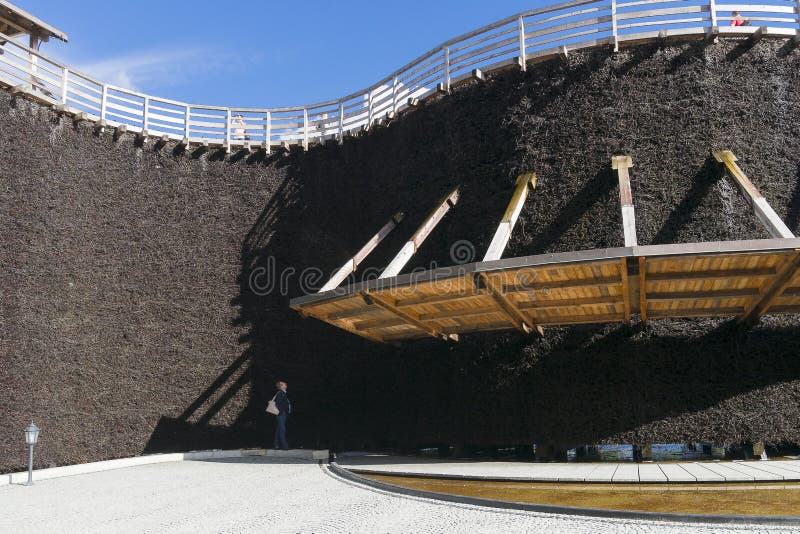 Skalowania wierza obraz royalty free