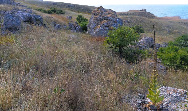 Skalstenar och klippor på kazantipstepplandskapet med särskild flora och fauna (östra crimea) arkivfoto