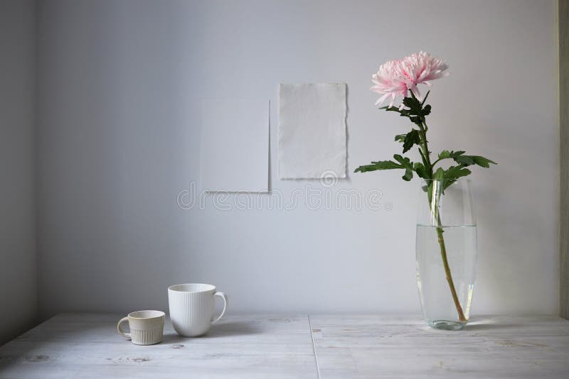 Scandinavian style. Interior Design. Large pink chrysanthemum in a long glass vase. Two cups of different size. Two blank sheets of paper on the wall. Empty space for text. Scandinavian style. Interior Design. Large pink chrysanthemum in a long glass vase. Two cups of different size. Two blank sheets of paper on the wall. Empty space for text