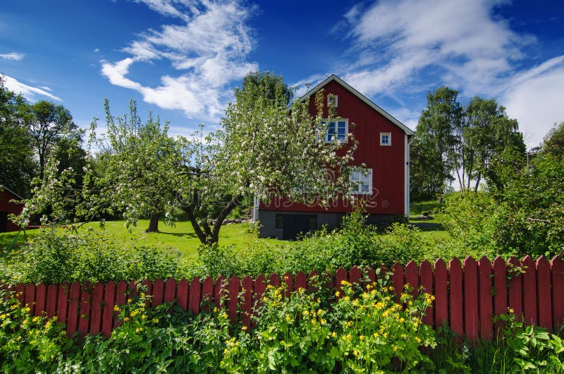 Skandinavischer Traditioneller Garten Stockbild Bild von