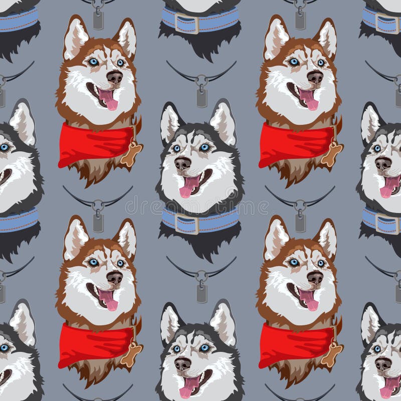 Dog breed Husky seamless pattern. Dog portrait isolated on grey. Cute Animal domestic. Decorative background with pet. Funny cartoon doggy character. Vector flat illustration. Dog breed Husky seamless pattern. Dog portrait isolated on grey. Cute Animal domestic. Decorative background with pet. Funny cartoon doggy character. Vector flat illustration.